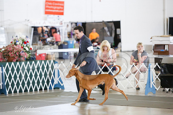 _JJ_1531-DallasJul2014-HR3