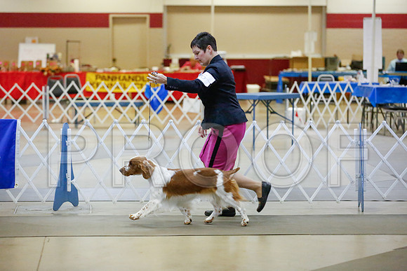 _JJ_7447-AmarilloSept2014-HR3