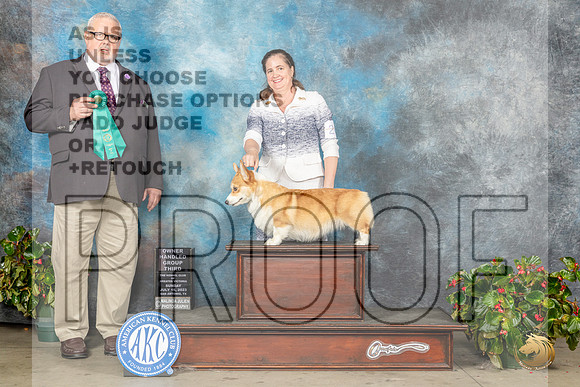 Pembroke Welsh Corgi #26 Sun OHG3 Judge David KirklandMJP_0406_SA2023_HR3
