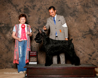 Giant Schnauzer #6 Sat G2 Reed Chris and Holly Maryann Bisceglia and Mike Reese Agent Alfonso Escobedo Judge Cindy Meyer