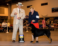 Rottweiler #11 Sat BOB Susich Lisa L Judge Mr Arley D Hussin