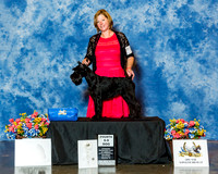 Standard Schnauzer #47 Sat 4th 6-9 D Shedd Linda Judge Mr Dana P Cline