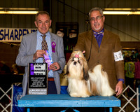 Shih Tzu #12 Sat Maj WB Eckes Gay Agent Dan Haley Judge Desmond Murphy