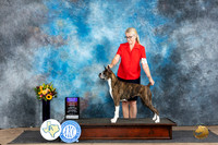 Boxer #8 Sat BOBOHBOB Judge Sharol Candace Way
