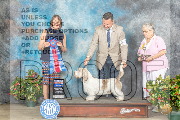 PBGV #9 Thur RBIS Judge Helene NietschMJP_7455_SA2023_HR3