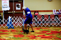 6-9 Dog Thurs Ring