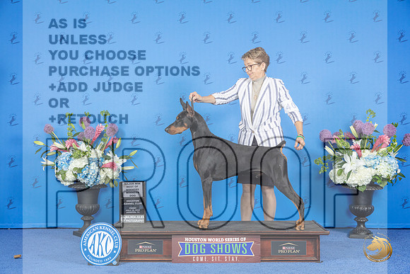 Doberman #23 FRI WD BOW M Judge Ronald Freeman__JP_9780_Houston_2024_HR3