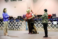 Belgian Malinoi #25 Sat Opn B Tracie Kolnsberg Tracie