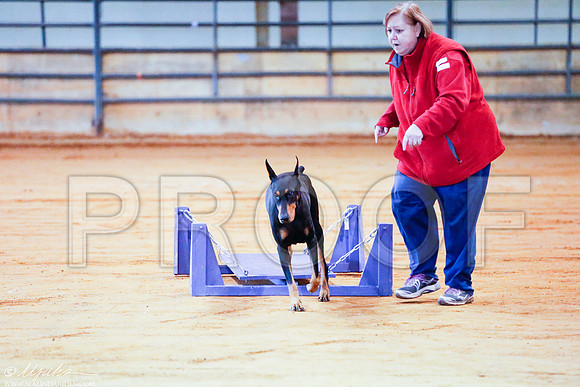 _RH_4012-MarshDec2014-HR