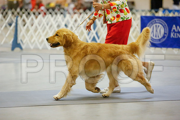 _JJ_7113-AmarilloSept2014-HR3