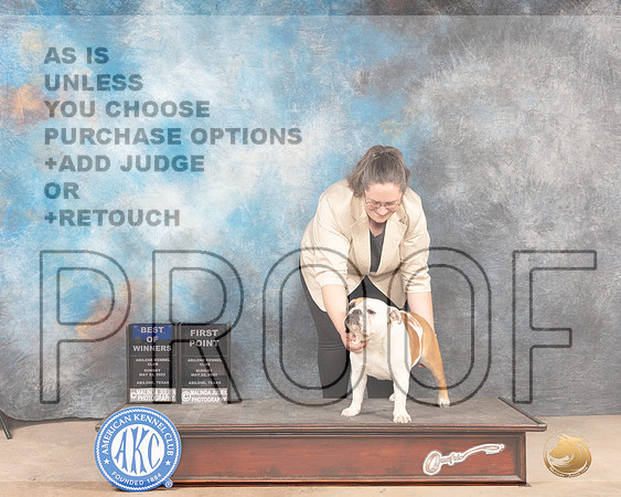 Bulldog #12 Sun BOW Judge Peggy McIlwaine-MMJ_4669-Abilene2022-HR3