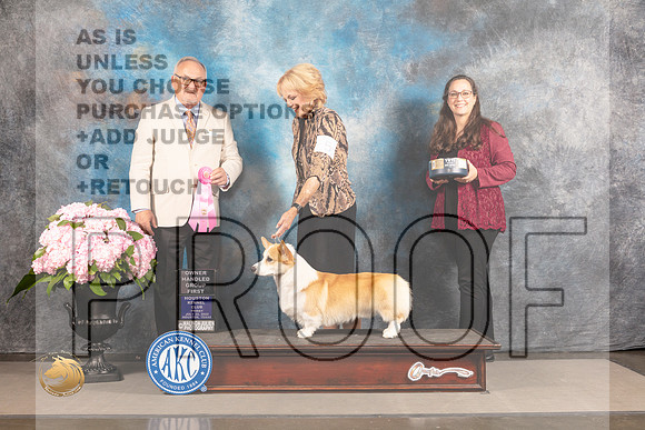 Pembroke Welsh Corgi #5 FRI OHG1 Judge Ken Murray_MJ_5997_Houston_2022_HR3