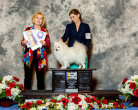 American Eskimo #9? Fri Maj BOB Vinson Thomas L & Brielle Hall Judge Mrs Helen Winski Stein