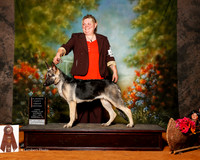 German Shepherd Dog #18 Sat 4-6mo G2 McRae Jessica