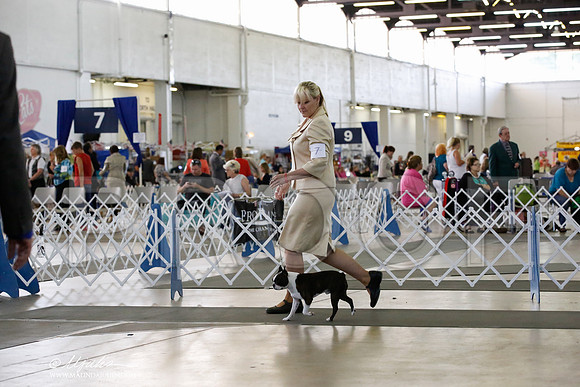 _CK_4709-DallasJul2014-HR3