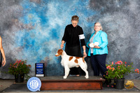 Brittany #17 Sun G1 Judge Victor Rosado
