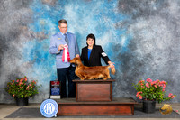 Dachshund Longhaired #28 Sat BOS Judge Kenneth L Hagmueller