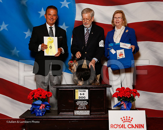 _ST_6225-2-YorkieNatJul2016-HR