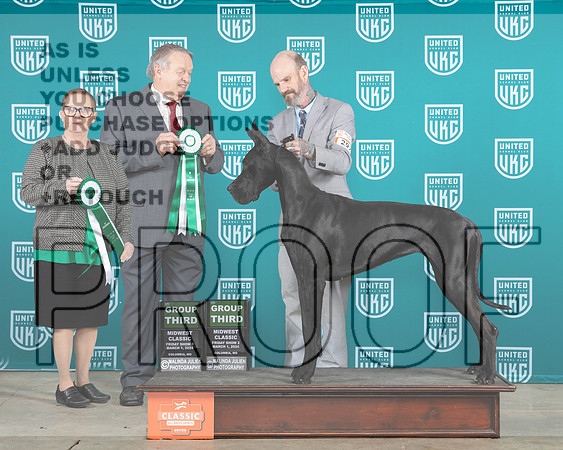 Great Dane #297 Fri1 G3 Judge Brenda Landers__JP_0708e_UKCMWC_2024_HR3