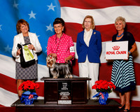 #27 Thurs 3rd 12-15 Puppy Dog Sweeps Miller Jerri Judge Lauri Loisel