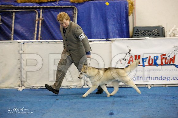 _M3_8806-AddisonHuskyMar2015-HR3