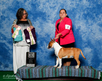 #5 Best Puppy Sweeps Sergio Alias Perez Jimenez and Arnoldo Salazar Judge Lynn Cash