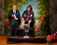 Yorkshire Terrier #12 Sat Maj BOW Park Shannon Rosanne Fett Judge Dana Cline