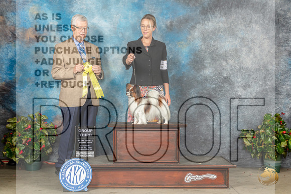 Papillon #34 Sat G3 Judge Dr Michael J WoodsMJP_9175_SA2023_HR3