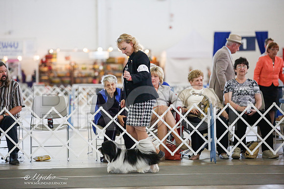 _JJ_7544-DallasJul2014-HR3
