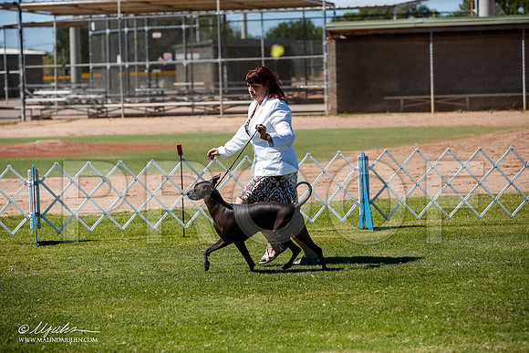 _JJ_8283-AlamogordoOct2014-HR3