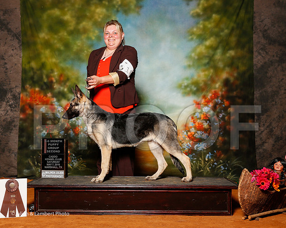 _ST_3919-2-MrshllMay2016-HR3