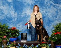 German Shepherd Dog #R25 Fri Rally Exc NT Sweatt Carla Judge Donna Eddins