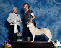 #34 Sun SB Carolyn Brown Judge Murrel Purkhiser