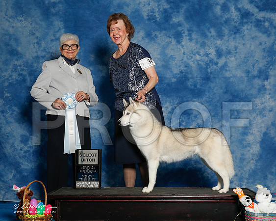 _R1_8265-2-HuskySltyMar2016-HR3