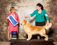 Golden Retriever #5 Fri G1 Nieman Lindsay and Mia Nieman and Colleen Maddox Agent Colette Livingston Judge Peggy Beisel Mcilwaine