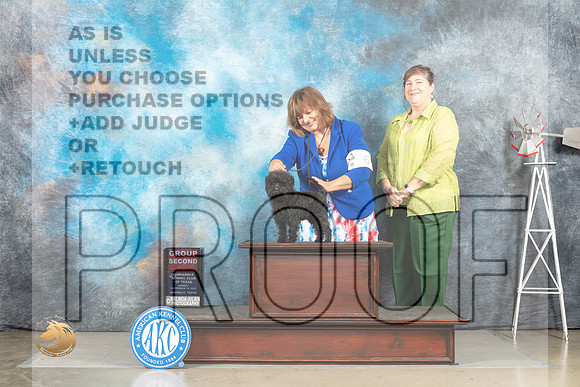 Affenpinscher #6 Sun G2 Judge Sharron Derrick_MJ_5036_Amarillo_2022_HR3