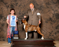 Boxer #9 Sat G1 Robbins Cheryl and Keith Agent Michael Shepherd Judge Cindy Meyer