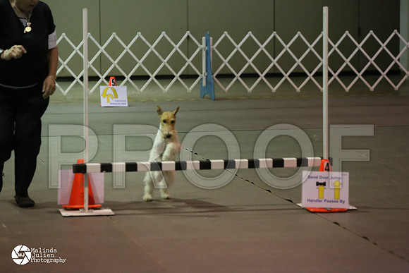 MJ2_0435-MsqtApr14-HR3