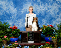 Shetland Sheepdog #R5 Sun RAE NT Johnson Nadine