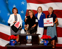 #78 Thurs 1st 9-12 Puppy Bitch Sweeps Spieth Sherri Judge Lauri Loisel