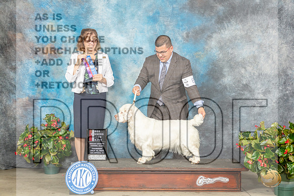 Clumber Spaniel #8 Thur BOS Judge Grace FritzMJP_7336_SA2023_HR3