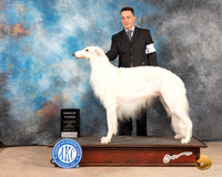 Borzoi #7 Sun G3 Judge Lori Nelson