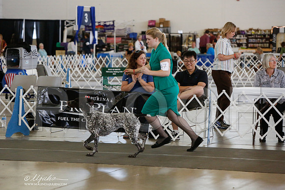 _JJ_1235-DallasJul2014-HR3