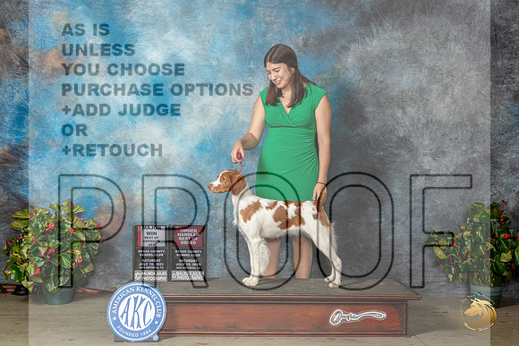 Brittany #20 Sat BOWBOSOHBOB Judge Jay RichardsonMJP_9130_SA2023_HR3