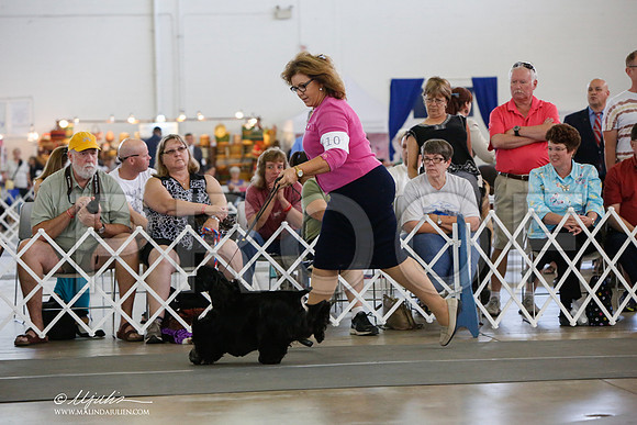 _JJ_1487-DallasJul2014-HR3