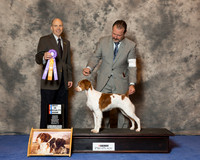 Brittany #8 Wed BOB Brannan Barbara Agent David M Harper Judge Mr Larry C Abbott