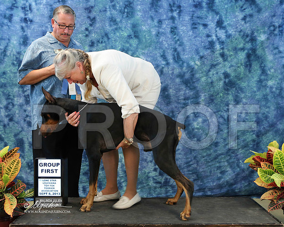 Dobe-6657