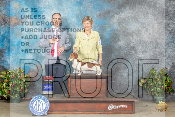 Dachshund #15 Sat BOS Judge Ryan Lee HorathMJP_8978_SA2023_HR3