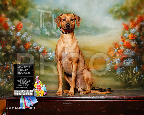 _ST_4328-2-MrshllMay2016-HR3