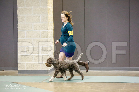 _RH_9242-BeltonJan2015-HR3